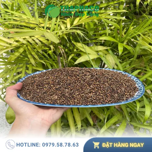 Nụ vối khô Thảo Dược Tấn Phát được sấy khô tự nhiên, đảm bảo chất lượng và giữ trọn vẹn dược tính