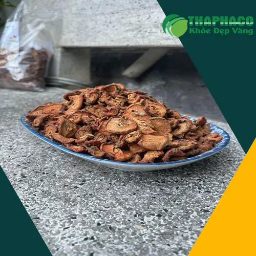 Dược sĩ tư vấn sử dụng táo mèo an toàn và hiệu quả