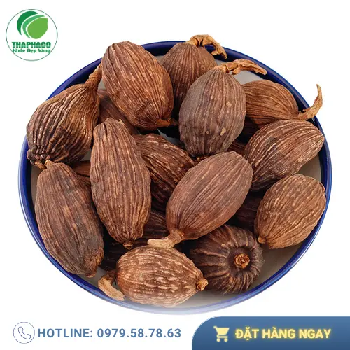 Thảo quả sấy khô nguyên chất Thảo Dược Tấn Phát