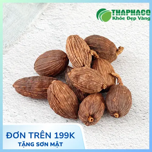Thảo quả khô nguyên chất của Thảo Dược Tấn Phát