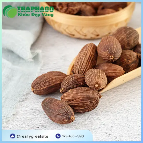 Thảo quả sấy khô chất lượng cao từ Thảo Dược Tấn Phát