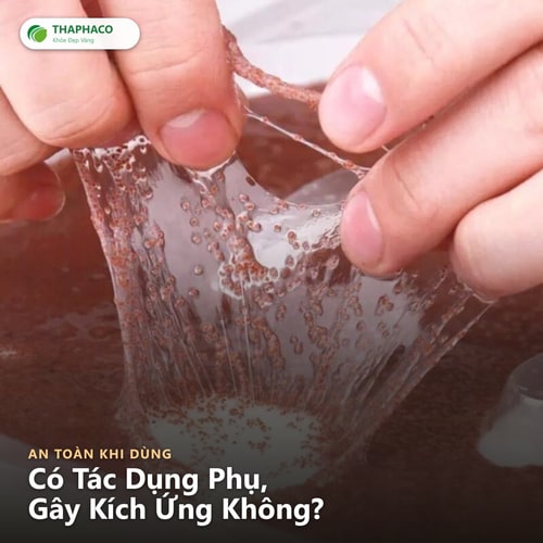 Hạt đình lịch có tác dụng phụ không