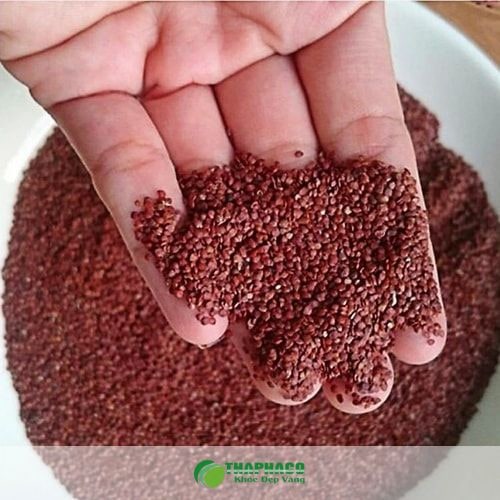 Vì sao hạt đình lịch vẫn có thể gây kích ứng dù là tự nhiên