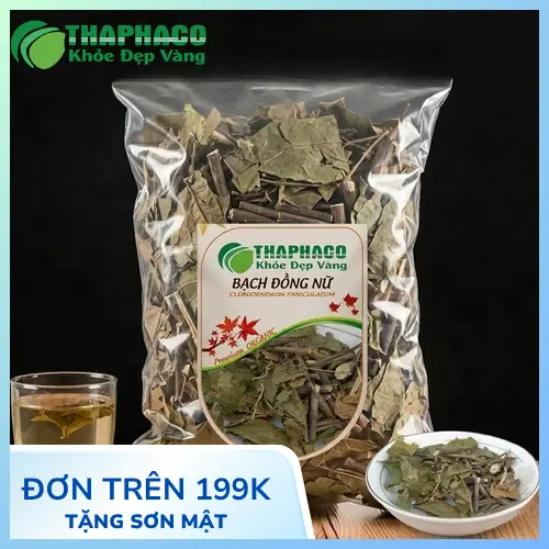 Cây Bạch Đồng Nữ và hoa trắng