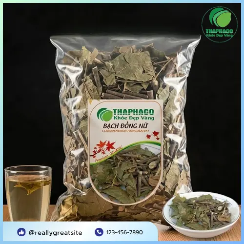 Cây Bạch Đồng Nữ và những đặc điểm dễ nhận biết