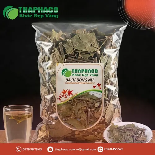Bạch đồng nữ khô nguyên cành
