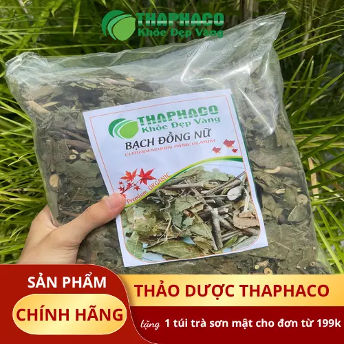 Rễ và lá Bạch Đồng Nữ dùng trong thảo dược