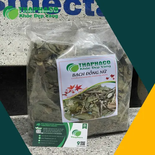 Bạch Đồng Nữ hỗ trợ thanh nhiệt cơ thể