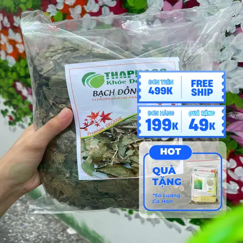 Cách dùng Bạch Đồng Nữ sắc uống