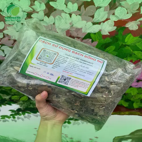 Bạch Đồng Nữ khô chất lượng tại THAPHACO