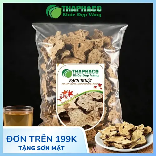 Bạch Truật - dược liệu quý trong Y học cổ truyền