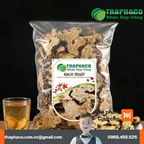 Củ Bạch Truật khô với vỏ ngoài sần sùi, màu nâu xám