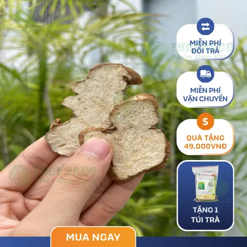 Bạch Truật hỗ trợ an thai, cần tham khảo ý kiến chuyên gia
