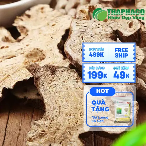 Tương tác thuốc và dị ứng là những lưu ý quan trọng khi dùng Bạch Truật