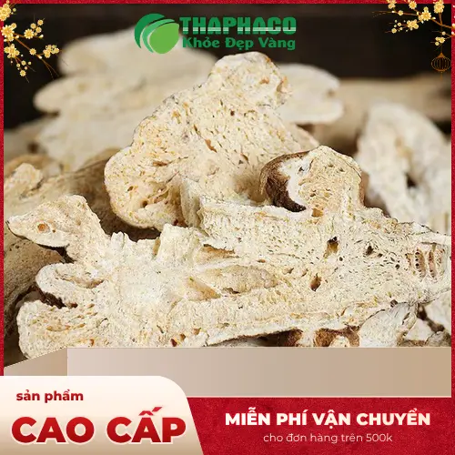 Bạch Truật khô sạch, không ẩm mốc