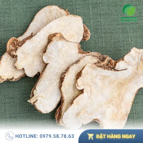 Lưu ý khi sử dụng Bạch Truật để đảm bảo an toàn