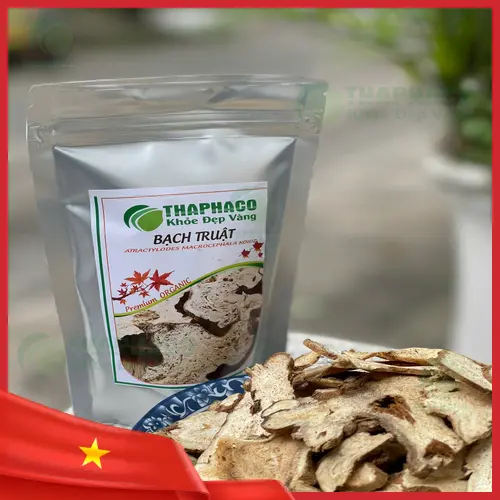 Củ Bạch Truật tươi với rễ, lá và thân