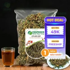 1kg Cà Gai Leo Sấy Khô Giá Tốt Tại THAPHACO – Chất Lượng Đảm Bảo