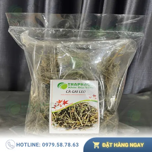 Hình ảnh cây cà gai leo