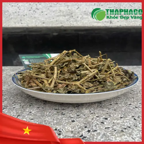 Hình ảnh cà gai leo khô sau khi sơ chế