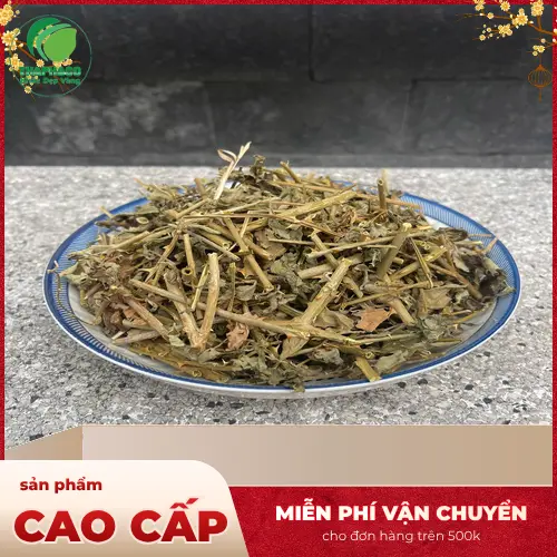 Bộ phận rễ cây cà gai leo đã phơi khô