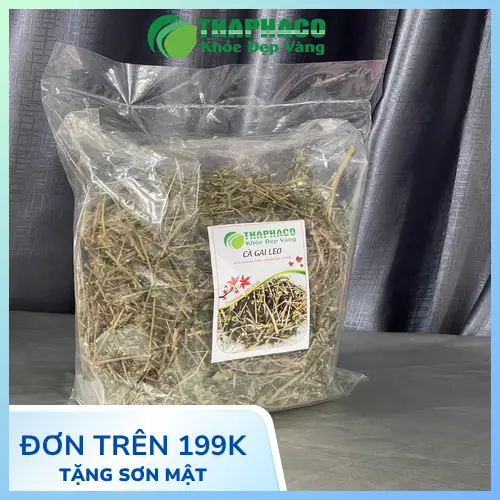 Quả Cà Gai Leo chín đỏ
