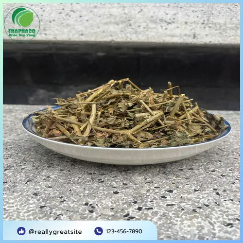 Địa chỉ mua Cà Gai Leo Sấy Khô uy tín THAPHACO