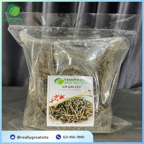 Giải đáp thắc mắc về cà gai leo.