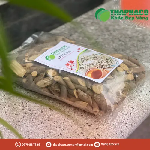 Công dụng hỗ trợ sức khỏe của An Xoa sấy khô