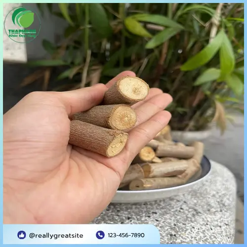 Thành phần Flavonoid trong cây an xoa