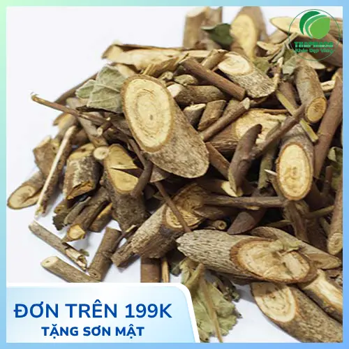 Hãm trà cây an xoa khô trong bình giữ nhiệt