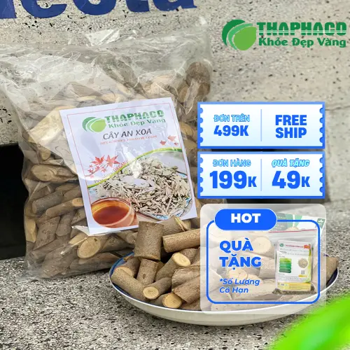 Pha trà cây an xoa khô