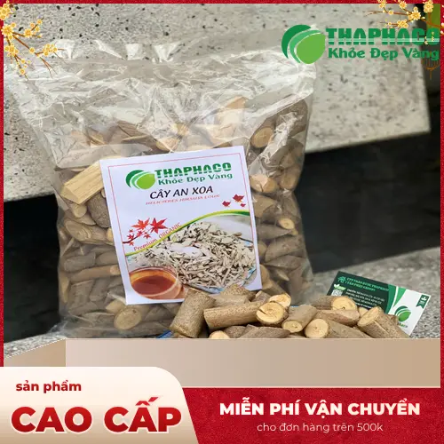 Tác dụng của saponin và terpenoid