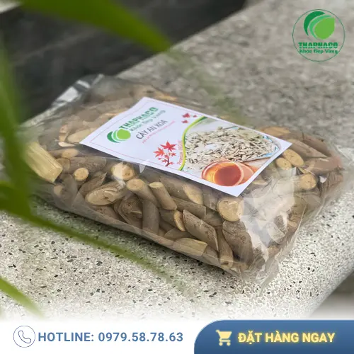 Kho dược liệu THAPHACO tại TP.HCM