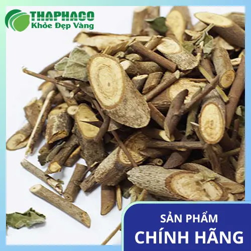 Địa chỉ mua cây an xoa uy tín