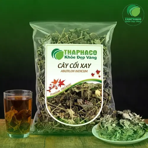 Cây Cối Xay tươi - Đặc điểm nhận biết