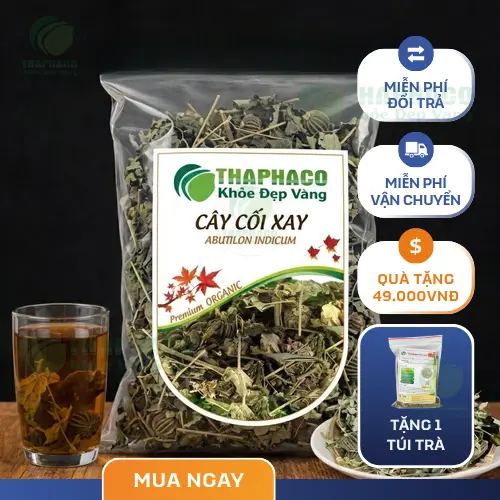 Cây Cối Xay - Thảo dược quen thuộc trong Y học cổ truyền
