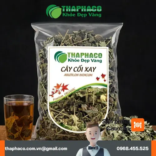 Hình ảnh cây Cối Xay toàn thân, lá và hoa vàng
