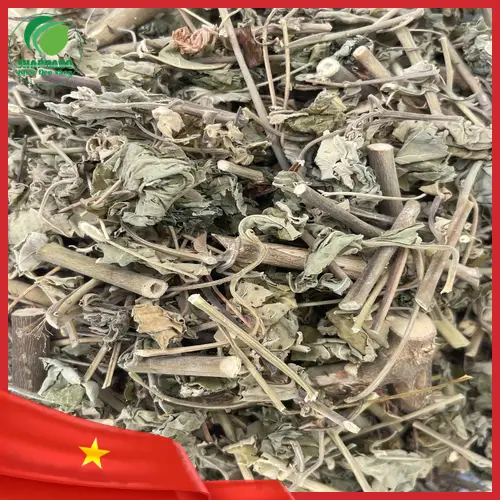 Hình ảnh cận cảnh lá cây Cối Xay với lông tơ và gân lá