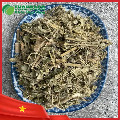 Đặc điểm nhận dạng cây cối xay khi tươi và sấy khô