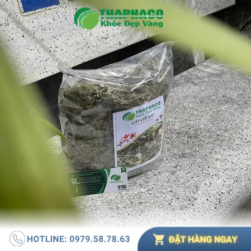 Cây cối xay khô hỗ trợ thanh nhiệt, giải độc