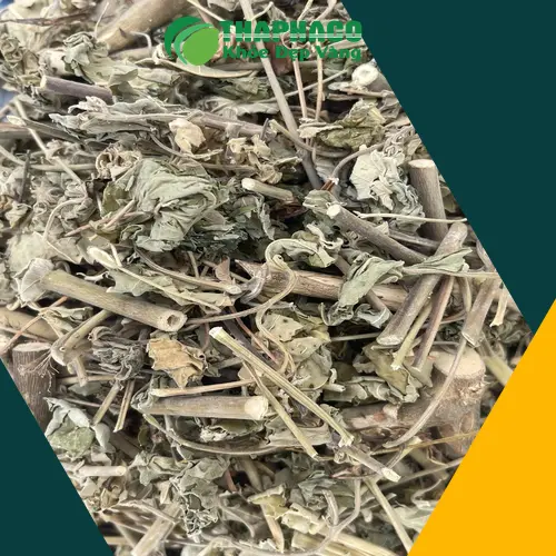 Bảo quản cây cối xay khô đúng cách