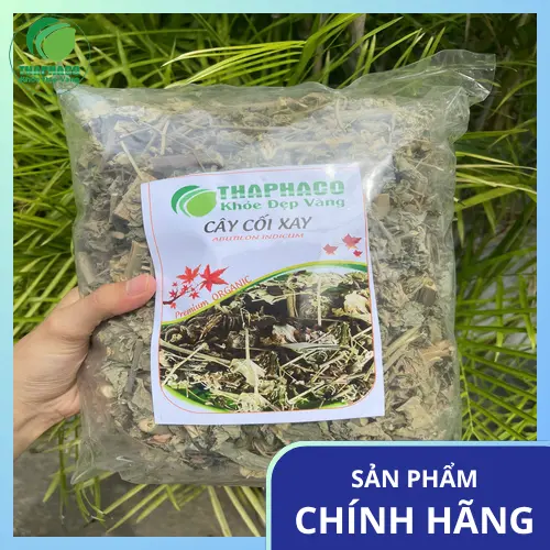 Phụ nữ mang thai và cho con bú không nên tự ý dùng cây cối xay