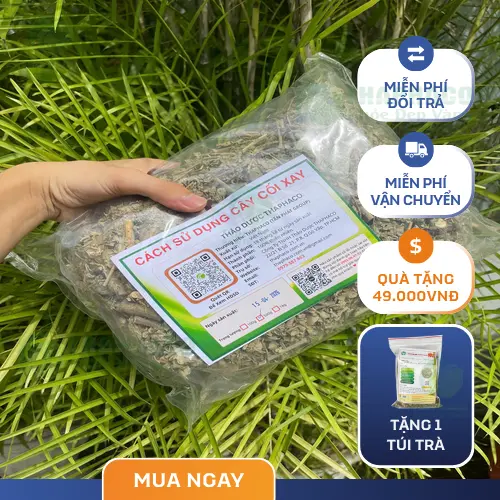 Hình ảnh cây Cối Xay được phơi khô để làm dược liệu