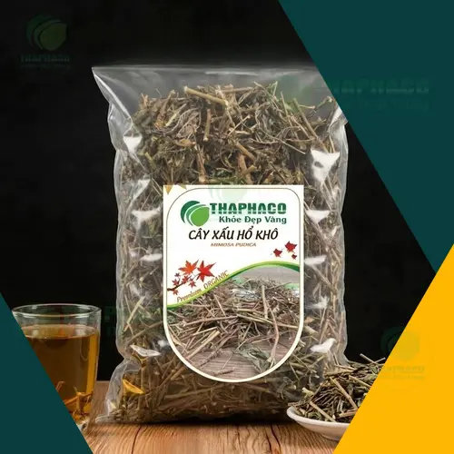 Hình ảnh cây xấu hổ (trinh nữ) với lá khép lại