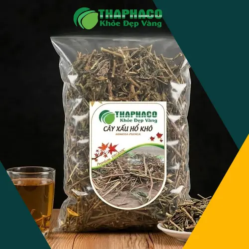 Cây xấu hổ (Mimosa pudica) với đặc điểm lá cụp khi chạm vào