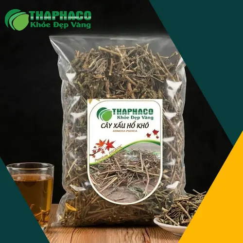 Hình ảnh cây xấu hổ