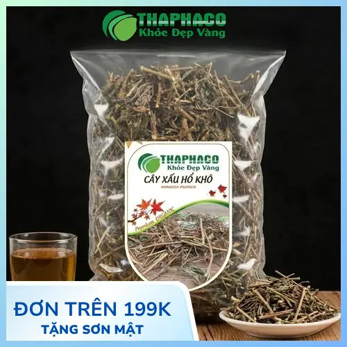 Hình ảnh cây xấu hổ mọc hoang dã