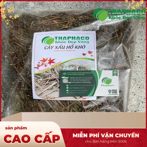 Cận cảnh lá cây xấu hổ cụp lại khi chạm vào