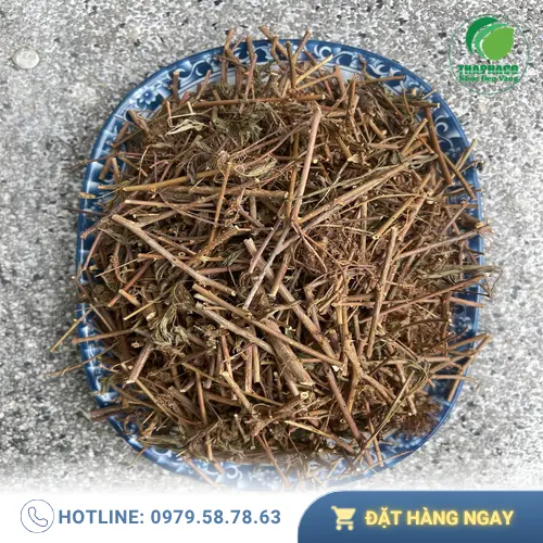Thành phần hoạt chất của cây xấu hổ
